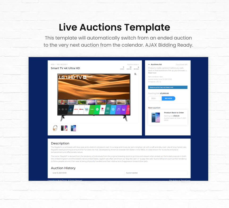 Auction Lots for iBid Theme - 7