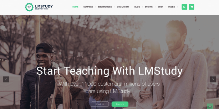 15+ Best Education and LMS WordPress Themes