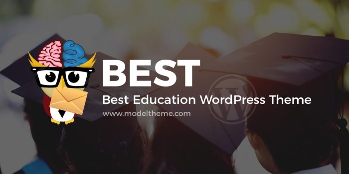 Choosing the Perfect Education WordPress Theme